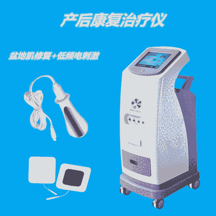 產(chǎn)后康復(fù)治療儀 月子中心