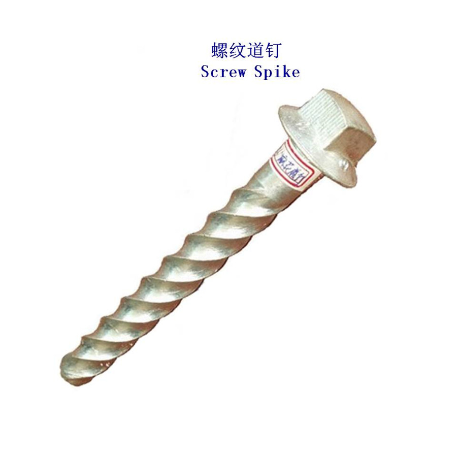 新加坡Ss36螺旋道釘廠家