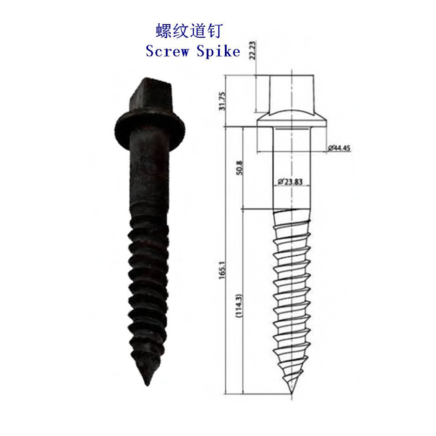 馬達加斯加Ss8螺旋道釘生產(chǎn)工廠