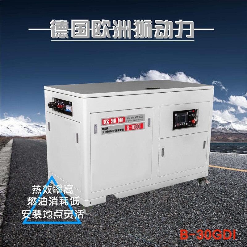 風(fēng)冷30千瓦汽油發(fā)電機(jī)