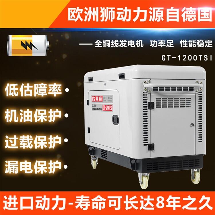 演出備用6千瓦柴油發(fā)電機圖片