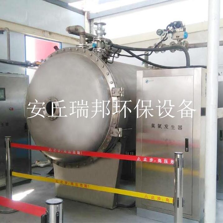 山東大型臭氧發(fā)生器實力廠家 安丘瑞邦環(huán)保   支持定做