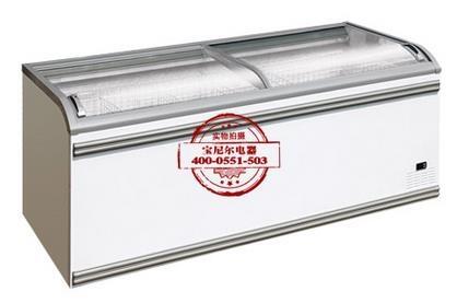 【寶尼爾冷柜】上海哪里有賣冷凍展示柜的，可以定制嗎