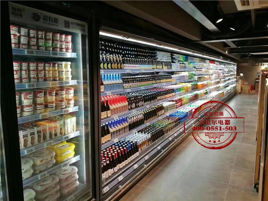 大連立式冷凍展示柜 超市冷凍柜 商用冷凍柜哪個牌子好