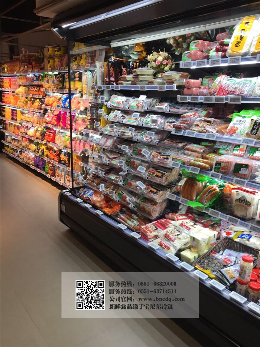 西寧立式冷凍柜尺寸 立式冷凍展示柜