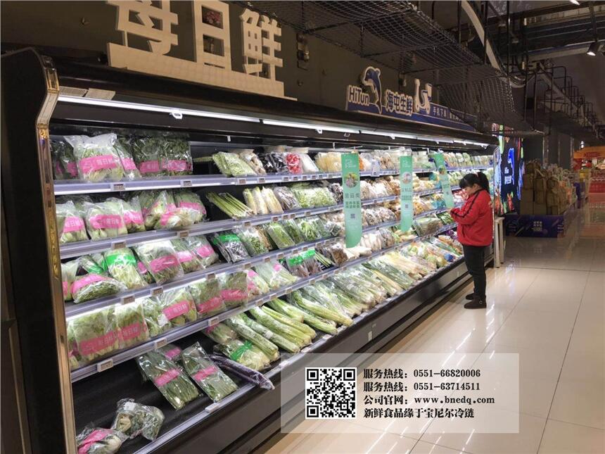內(nèi)蒙古2米長(zhǎng)冷凍展示柜規(guī)格表