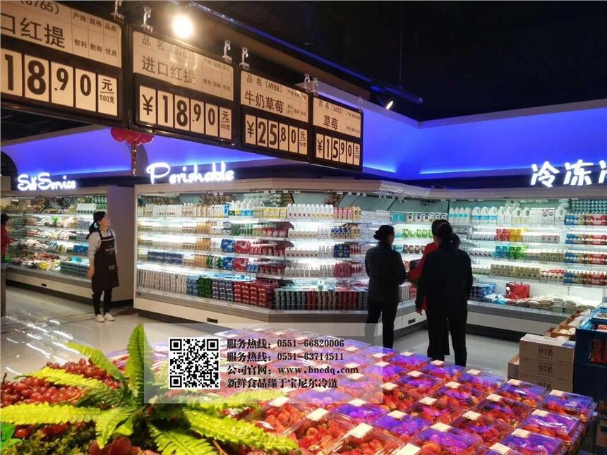 連云港生鮮冷風(fēng)柜價格 海鮮冷凍展示柜圖片