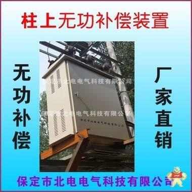 BDKJ-C型濾波補償裝置   高壓柱上無功補償箱