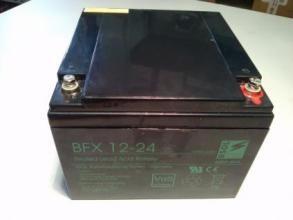 澳大利亞NEUTON-POWER 蓄電池NPL400L 2V400AH價(jià)格