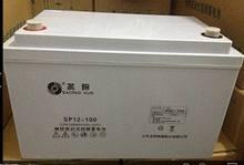 山東圣陽電池SP12-80/12v80ah應(yīng)急電源專用圣陽電池
