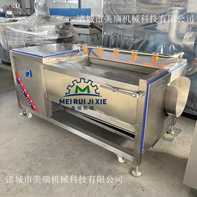 小型胡蘿卜清洗機(jī) 不銹鋼毛輥清洗機(jī) 豬頭去毛清洗機(jī)價(jià)格