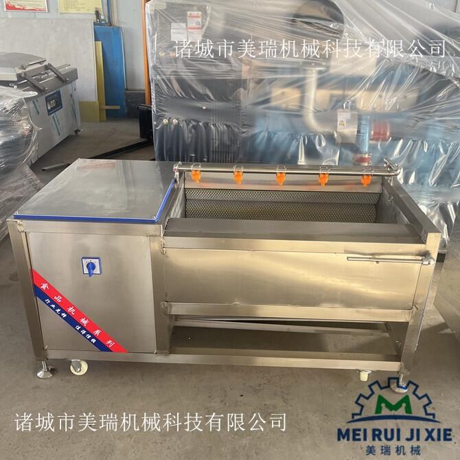 成都洋姜毛輥清洗機(jī) 四川白芷藥材毛輥清洗機(jī) 全自動(dòng)生蠔牡蠣清洗設(shè)備