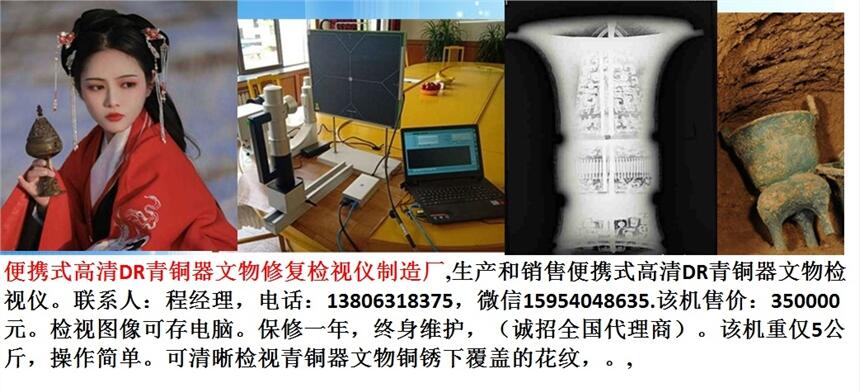 便攜式高清DR青銅器文物修復(fù)檢視儀