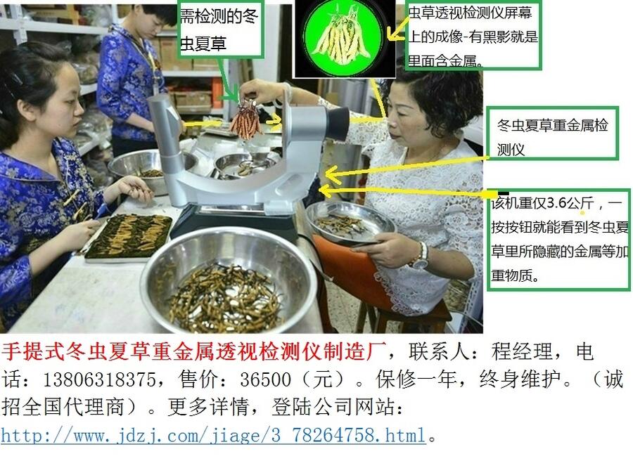 手提式冬蟲夏草重金屬檢視檢測儀/手提型X光機射線單體源