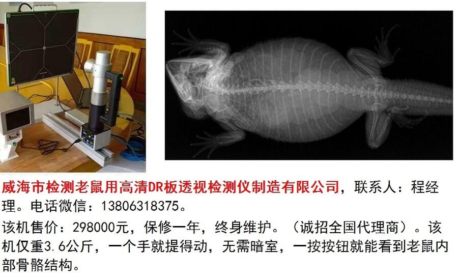 威海市檢測(cè)甲魚用高清DR板檢視檢測(cè)儀制造有限公司