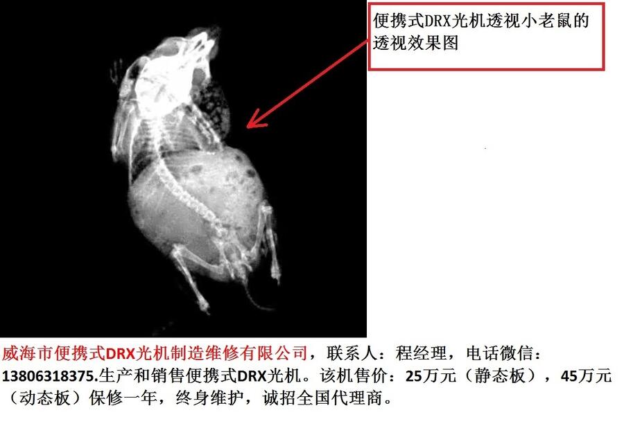 便攜式DRX光機/寵物醫(yī)院用