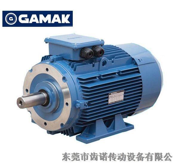 GAMAK電機，GAMAK高效馬達
