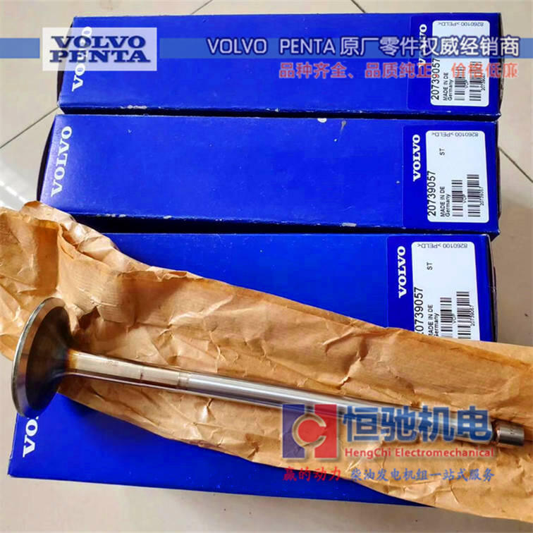 沃爾沃TAD1631GE 進(jìn)排氣門 發(fā)電機組配件