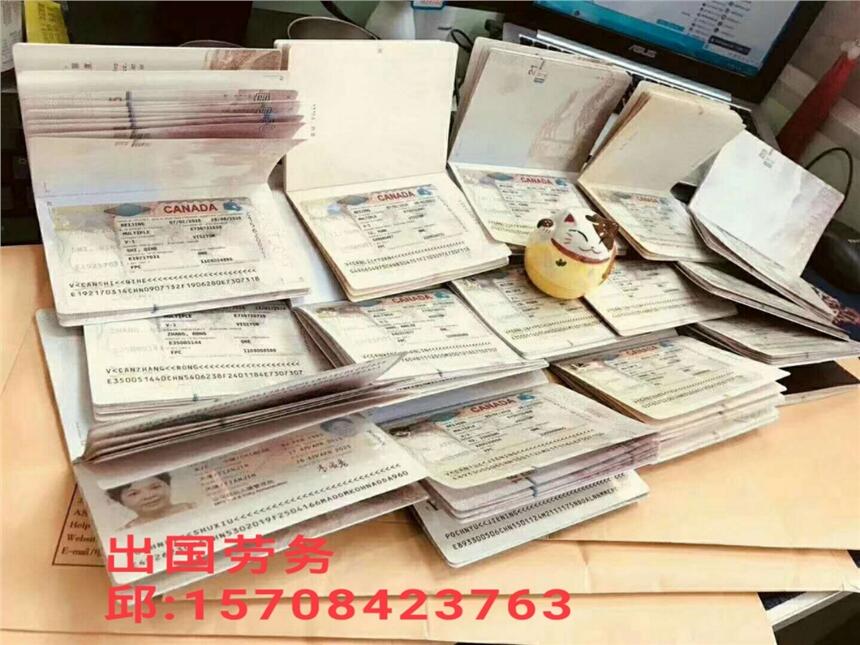 出國打工瑞士農(nóng)場(chǎng)招搬運(yùn)包裝工、收割蔬菜種植工、貨運(yùn)叉車司機(jī)清潔工年薪40萬