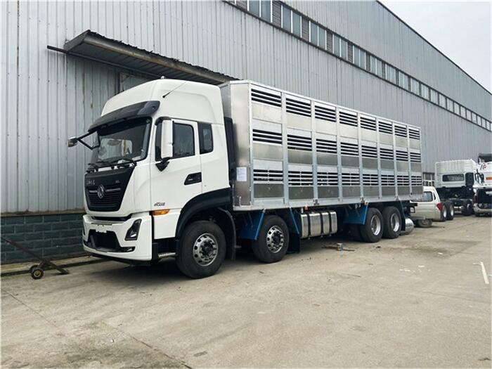 東風(fēng)國六9米6活豬運(yùn)輸車報(bào)價(jià)多少錢