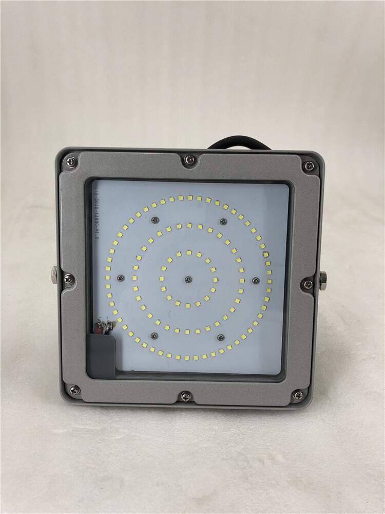 NFC9192-LED70w AC220vIP66照明燈