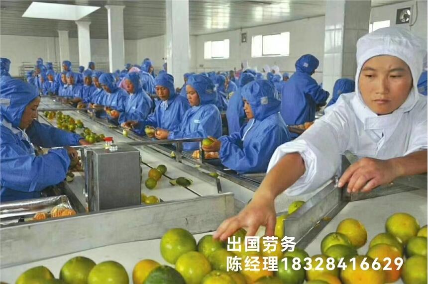 出國打工需要多少費用，建筑工地司機農場工廠普工保底月薪3萬