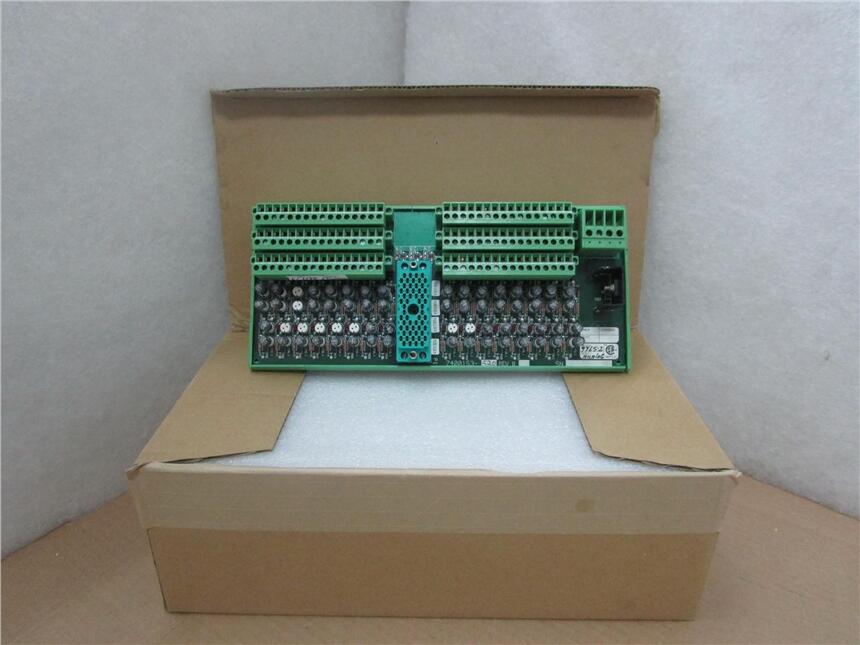 WESTINGHOUSE 1C31194G01 現(xiàn)貨