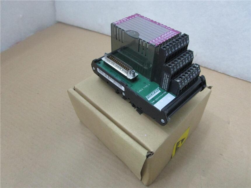 Foxoboro FBM202