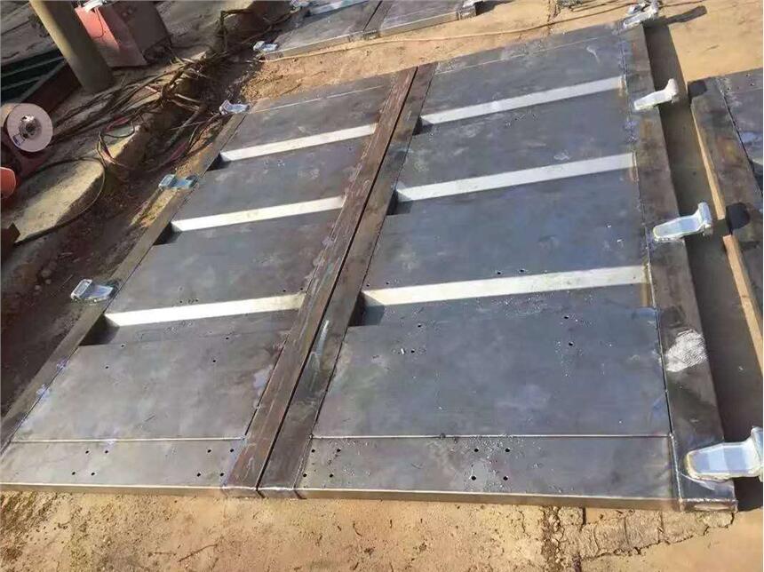 加工定做集裝箱門 標(biāo)準(zhǔn)集裝箱門 單開門 對開門