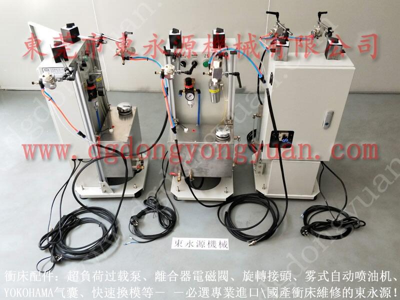 振力沖床超負荷泵，OMPI ITALY軸封 R125_找東永源品質(zhì)