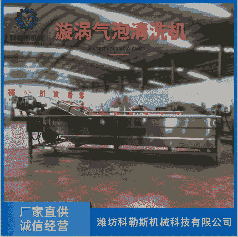 科勒斯 CQX300清洗機 漩渦氣泡清洗機 綠葉菜氣泡清洗機果蔬清洗機