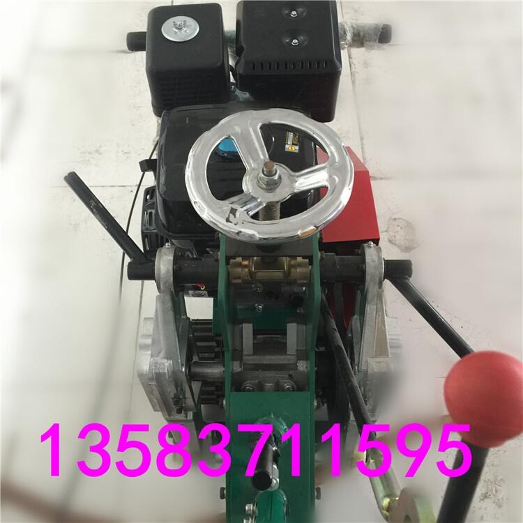 草地草皮移植機鼎誠廠家直銷經(jīng)久耐用DCQCJ-300