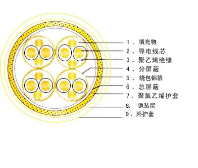 計算機(jī)屏蔽電纜-DJYPVP，DJYPV計算機(jī)屏蔽電纜-DJYPVP計算機(jī)屏蔽電纜-DJY