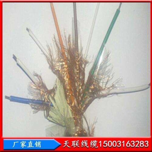 鋼絲鎧裝大對數(shù)礦用電纜天聯(lián)MHYVP20X2X0.5型號齊全，供貨及時