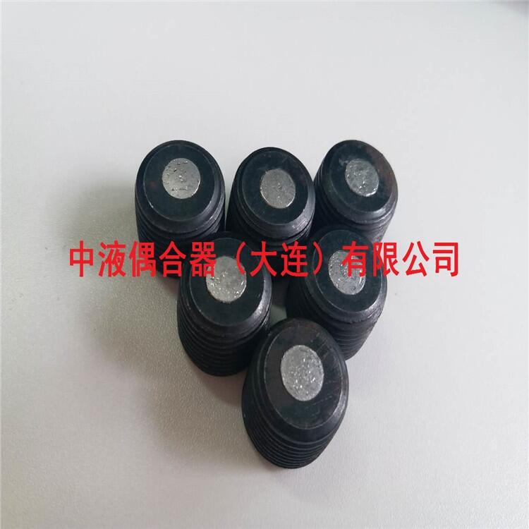 南寧液力偶合器配件傳斯羅伊易熔塞R3/8現貨供