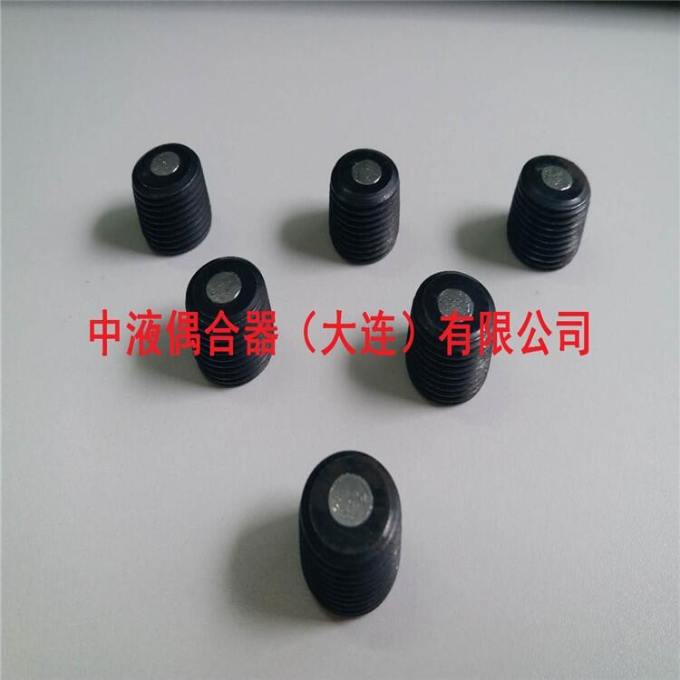 南寧偶合器配件傳斯羅伊易熔塞R3/8現(xiàn)貨供給中