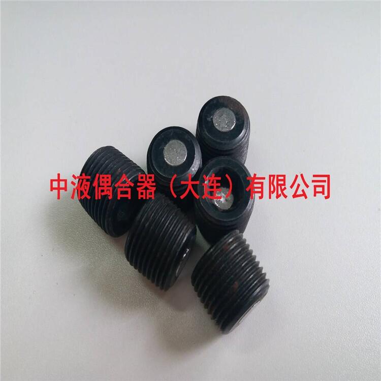 寧夏偶合器配件傳斯羅伊R3/8現(xiàn)貨購