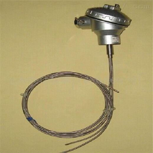 廠家銷售WZP-120無固定裝置熱電阻