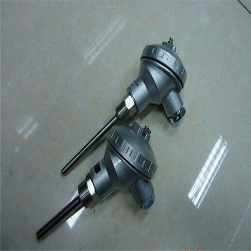PT100溫度傳感器WZPK2-535低價供應