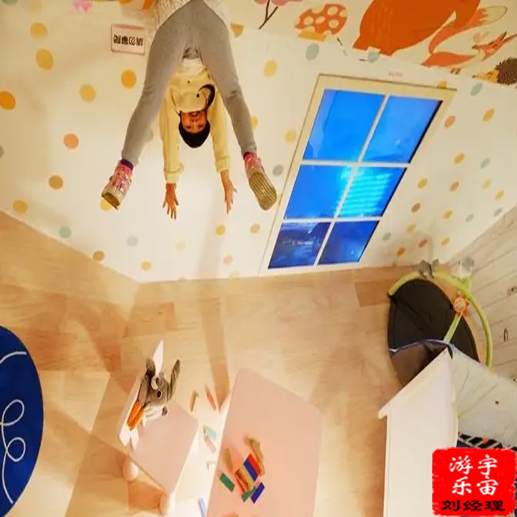 鼎藝游樂 顛倒屋 傾斜屋 景區(qū)商場  不一樣的感觸