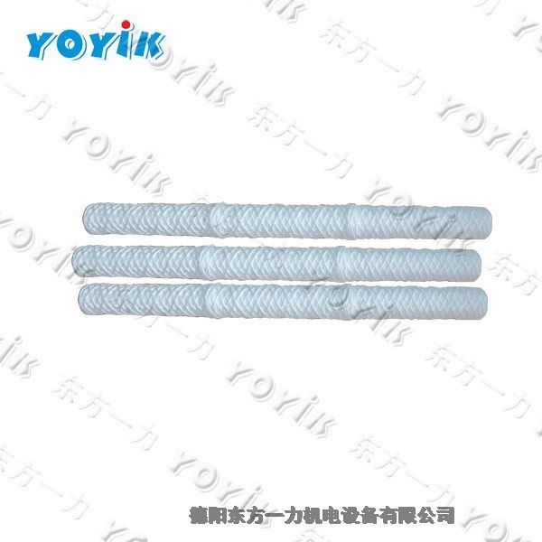 福建濾芯MSL-125東方一力水過濾器濾芯
