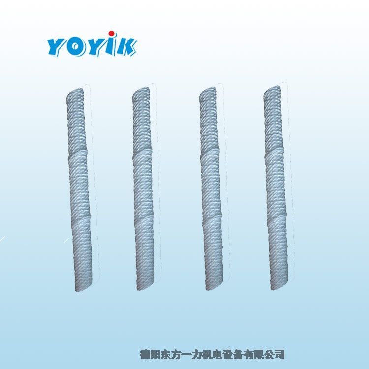 福建濾芯MSL-125東方一力 定冷水系統(tǒng)主濾網(wǎng)