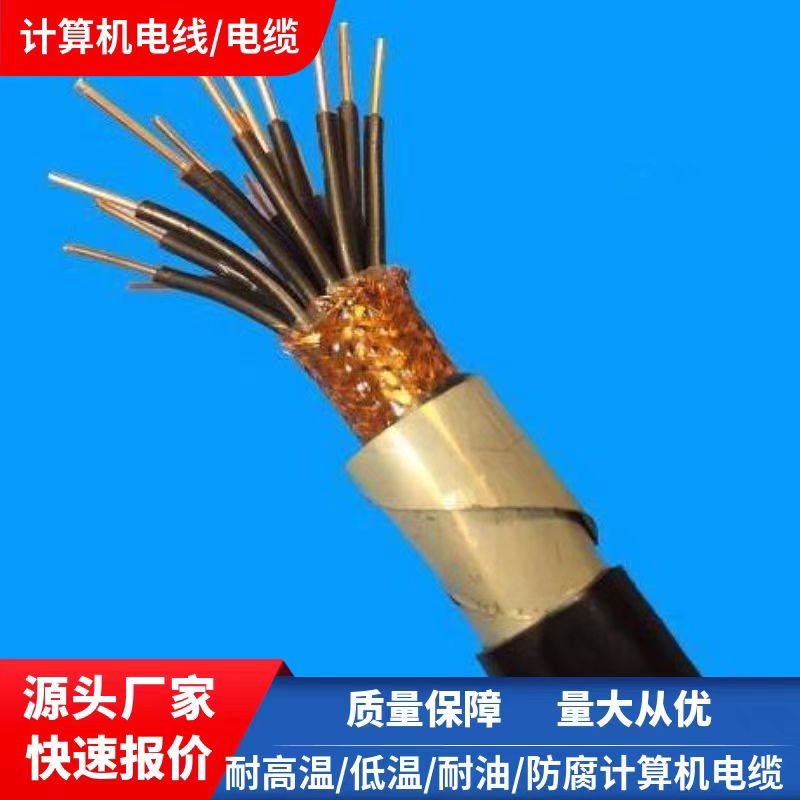 天聯(lián)礦用電力電纜WD-MYJY23-0.6/1-2*95