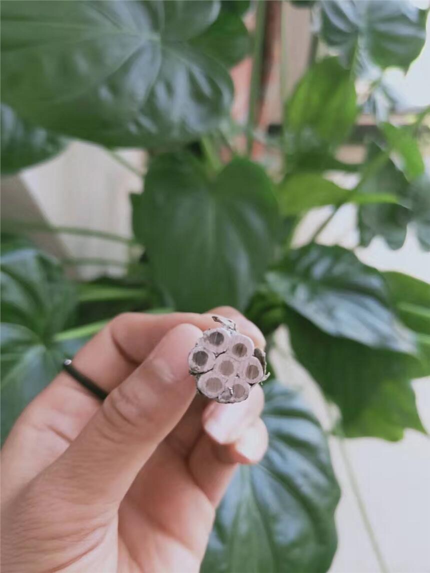 大征鋁包鋼芯鋁絞線JL/LB1A-120/25現(xiàn)貨