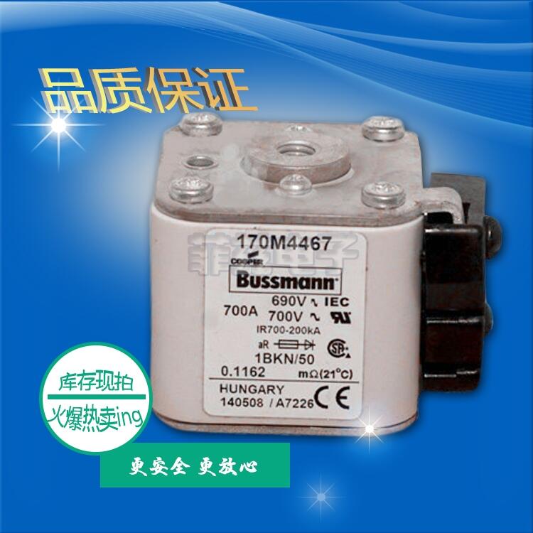 鍏ㄦ柊閵峰敭BUSSMANN宸存柉鏇肩啍鏂峰櫒170M4466 閲忓寰炲劒(y艒u) 姝¤繋瑷傝臣