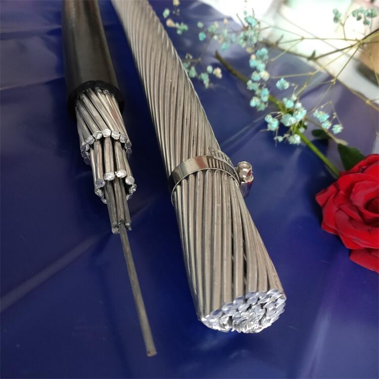 國標供應JNRLH/G1A240/40耐熱鋼芯鋁合金導線