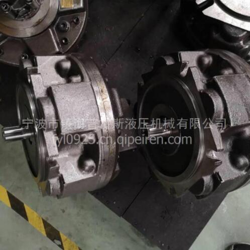 GM3-900意大利SAI馬達(dá)