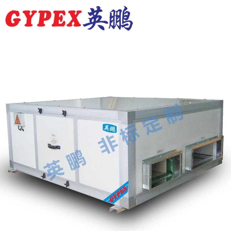 珠海英鵬熱回收新風(fēng)換氣機(jī)組(吊頂式)