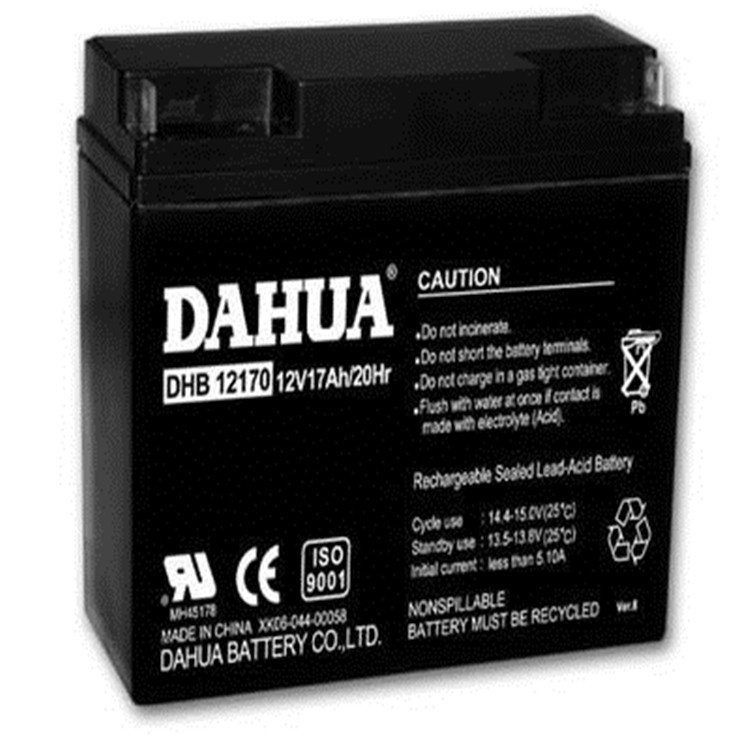 DAHUA大華機房應(yīng)急電源蓄電池DHB12900 12V90AH