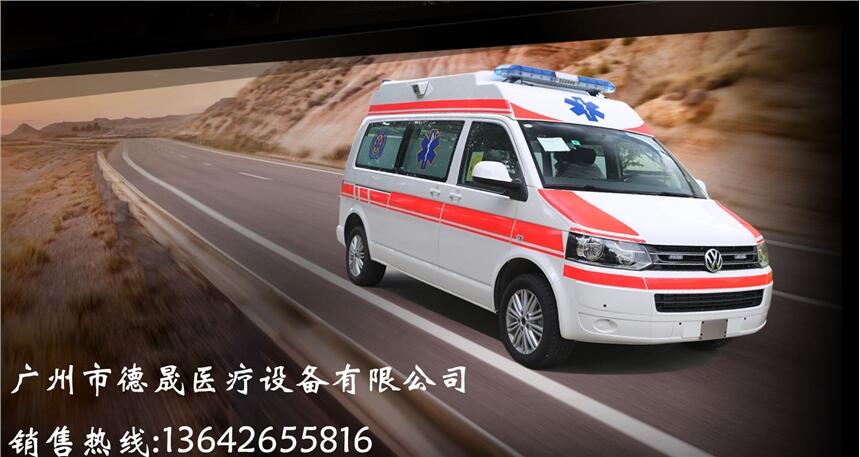 德國(guó)大眾T6監(jiān)護(hù)型救護(hù)車